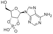腺苷-2&#039;,3&#039;-环磷酸,CAS号： 634-01-5