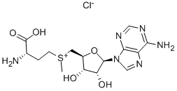 S-(5&#039;-腺苷基)-L-氯化蛋氨酸, CAS号： 24346-00-7
