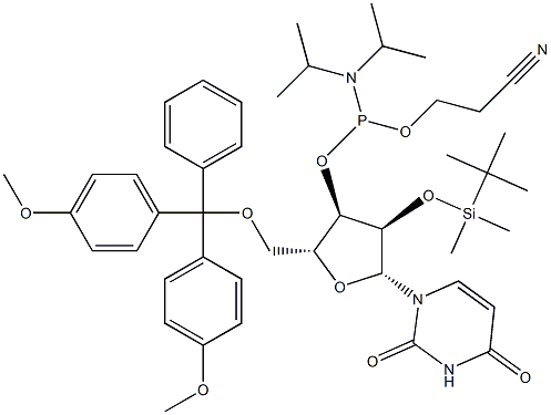 rU亚磷酰胺单体, CAS号： 118362-03-1