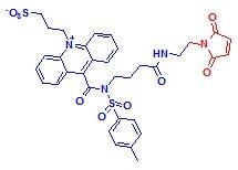 吖啶磺酰胺盐-N-乙胺基马来酰亚胺,NSP-SA-N-Mal