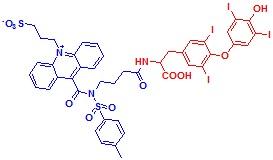 吖啶磺酰胺盐-T4结合物,NSP-SA-T4