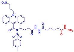 吖啶磺酰胺NSP-SA-ADH,NSP-SA-ADH