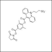 吖啶酯NSP-DMAE-NHS,cas:,194357-64-7,NSP-DMAE-NHS