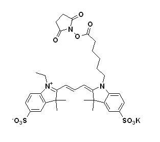 Cy3-NHS酯,cas:146368-16-3,Cy3-NHS ester