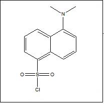 丹磺酰氯cas:605-65-2,Dsyl chloride