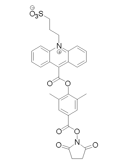吖啶酯NSP-DMAE-NHS CAS194357-64-7