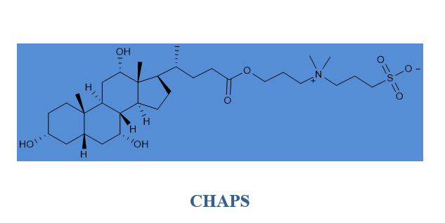 3-[3-(胆酰胺丙基)二甲氨基]丙磺酸内盐(CHAPS),cas:75621-03-3