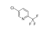 5-氯-2-三氟甲基吡啶,CAS： 349-94-0