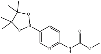 2-METHOXYCARBONYLAMINOPYRIDINE-5-BORONIC ACID,CAS号：1073372-02-7