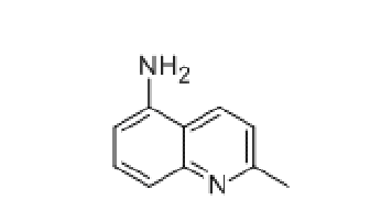 5-氨基喹哪啶, CAS： 54408-50-3
