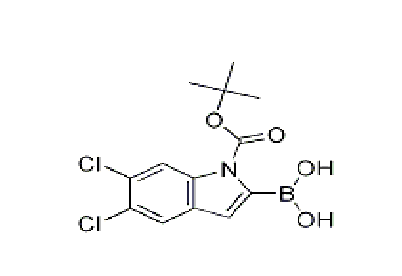 1-BOC-5,6-二氯-1H-吲哚-2-硼酸, CAS： 1310384-28-1