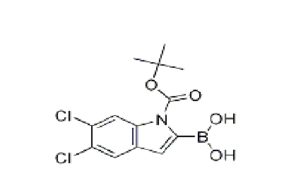 1-BOC-5,6-二氯-1H-吲哚-2-硼酸, CAS: 1310384-28-1