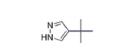 4 -叔丁基-1H -吡唑, CAS： 105285-21-0