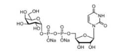 UDP-半乳糖（UDP-Gal）|CAS:137868-52-1, 2956-16-3