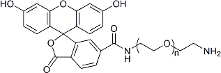 氨基-聚乙二醇-荧光素NH2-PEG-FITC