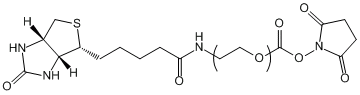 生物素-聚乙二醇-活性酯Biotin-PEG-NHS