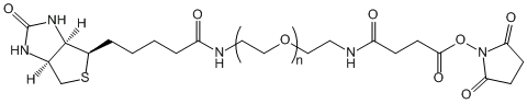 生物素-聚乙二醇-琥珀酰胺琥珀酰亚胺酯Biotin-PEG-SAS