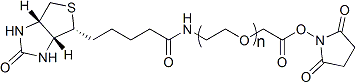生物素-聚乙二醇-琥珀酰亚胺羧甲基酯Biotin-PEG-SCM