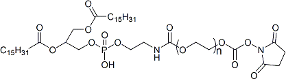 二棕榈酰磷酯酰乙醇胺-聚乙二醇-活性酯DPPE-PEG-SC