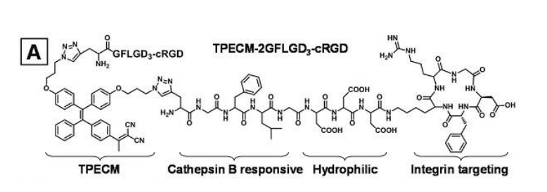 具有聚集诱导发光性质的光敏剂TPECM-2GFLGD3-cRGD