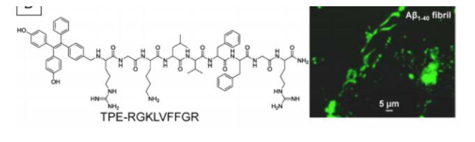TPE-RGKLVFFGR多肽连接AIE发光分子