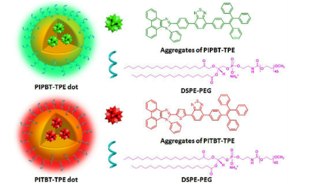 DSPE-PEG-PIPBT-TPE有机荧光量子点