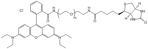 罗丹明B-聚乙二醇-生物素RB-PEG-Biotin