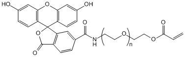 荧光素-聚乙二醇-丙烯酸酯FITC-PEG-AC