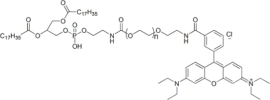 罗丹明B-聚乙二醇-二硬脂酰基磷脂酰乙醇胺RB-PEG-DSPE