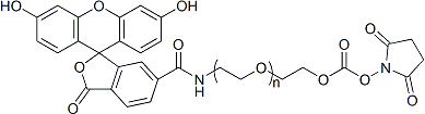 荧光素-聚乙二醇-琥珀酰亚胺碳酸酯FITC-PEG-SC