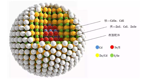 蓝紫光水溶性无重金属ZnSe/ZnS量子点(QD)发射390nm--440nm