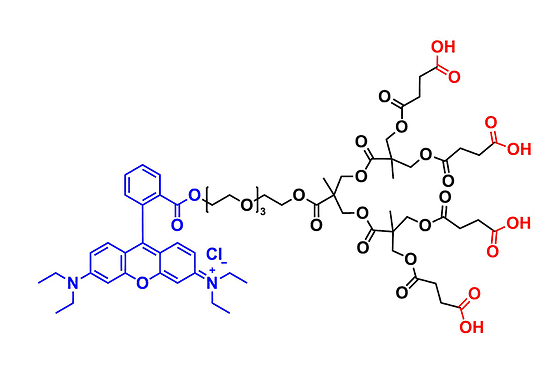 bis-MPA COOH Dendron, Rhodamine Core, G2 罗丹明核的二羟甲基丙酸羧基COOH修饰的二代超支化大分子