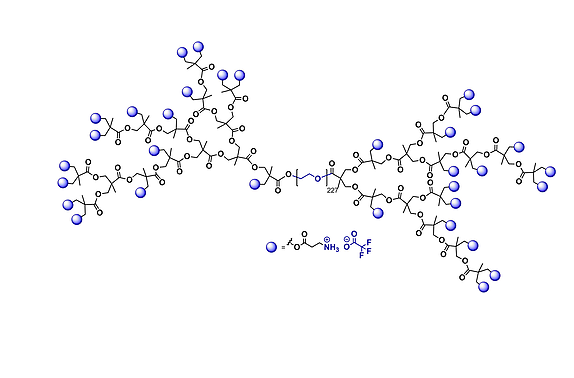Hyperbrched bis-MPA PEG 10k, Ammonium Functional, G4 聚乙二醇10k核的二羟甲基丙酸氨基修饰的四代超支化聚合物