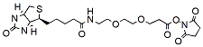 Biotin-PEG2-NHS ester CAS:596820-83-6