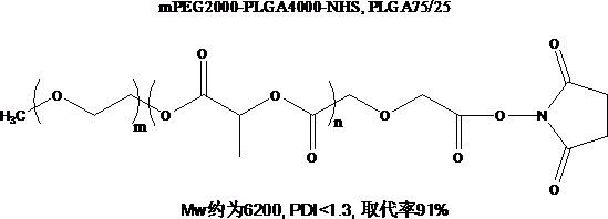 mPEG-PLGA-NHS 甲氧基聚乙二醇-聚乳酸羟基乙酸共聚物-N-羟基琥珀酰亚胺