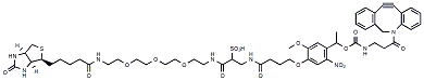 WSPC Biotin-PEG3-DBCO