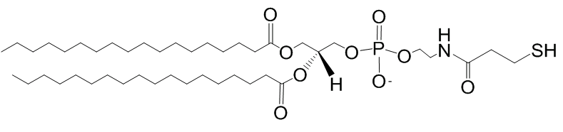 DSPE-SH 二硬脂酰磷脂酰乙醇胺改性巯基