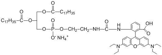 DSPE-RB 二硬脂酰基磷脂酰乙醇胺-罗丹明