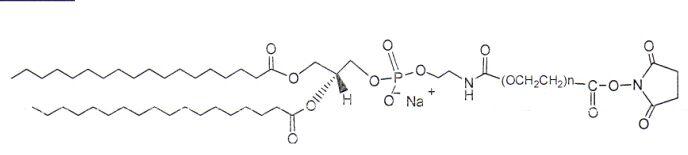 DSPE-PEG2000-NHS 二硬脂酰基磷脂酰乙醇胺-聚乙二醇2000-N-羟基琥珀酰亚胺
