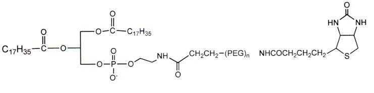 DSPE-PEG2000-Biotin 二硬脂酰基磷脂酰乙醇胺-聚乙二醇2000-生物素