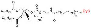 DSPE-PEG2000-Cy3 菁染料标记二硬脂酰基磷脂酰乙醇胺-聚乙二醇2000