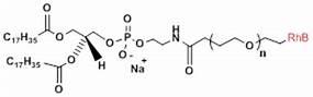 DSPE-PEG2000-Rhodamine B 二硬脂酰基磷脂酰乙醇胺-聚乙二醇2000-罗丹明B