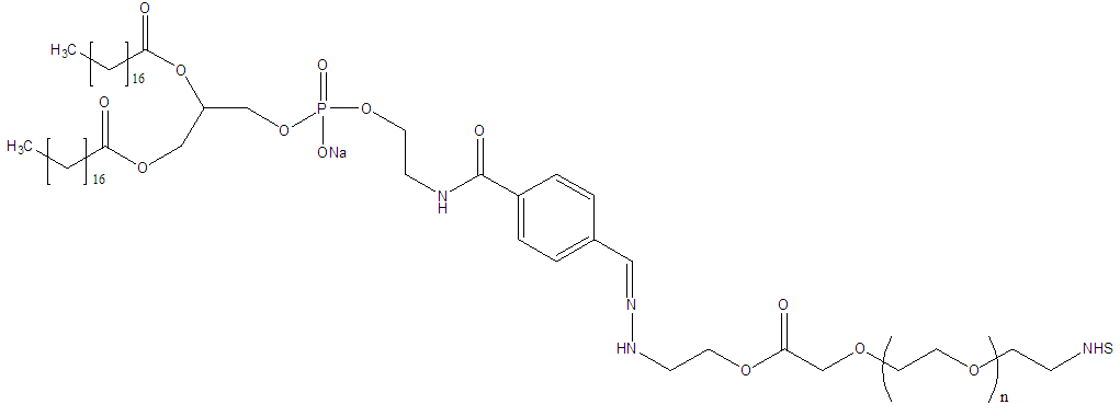 DSPE-Hyd-PEG-NHS 二硬脂酰磷脂酰乙醇胺-腙键-聚乙二醇-N-羟基琥珀酰亚胺