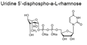 UDP-L-Rha;CAS:1526988-33-9;尿苷5′-二磷酸-a-L-鼠李糖二钠盐