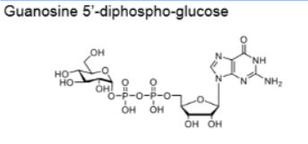 GDP-Glc;鸟苷5′-二磷酸葡萄糖二钠盐；CAS:103301-72-0