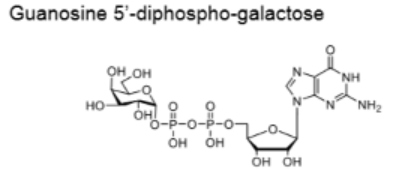 GDP-Gal;鸟苷5′-二磷酸半乳糖二钠盐