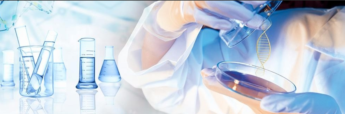 DPPE-RB 二棕榈酰基磷脂酰乙醇胺改性罗丹明B