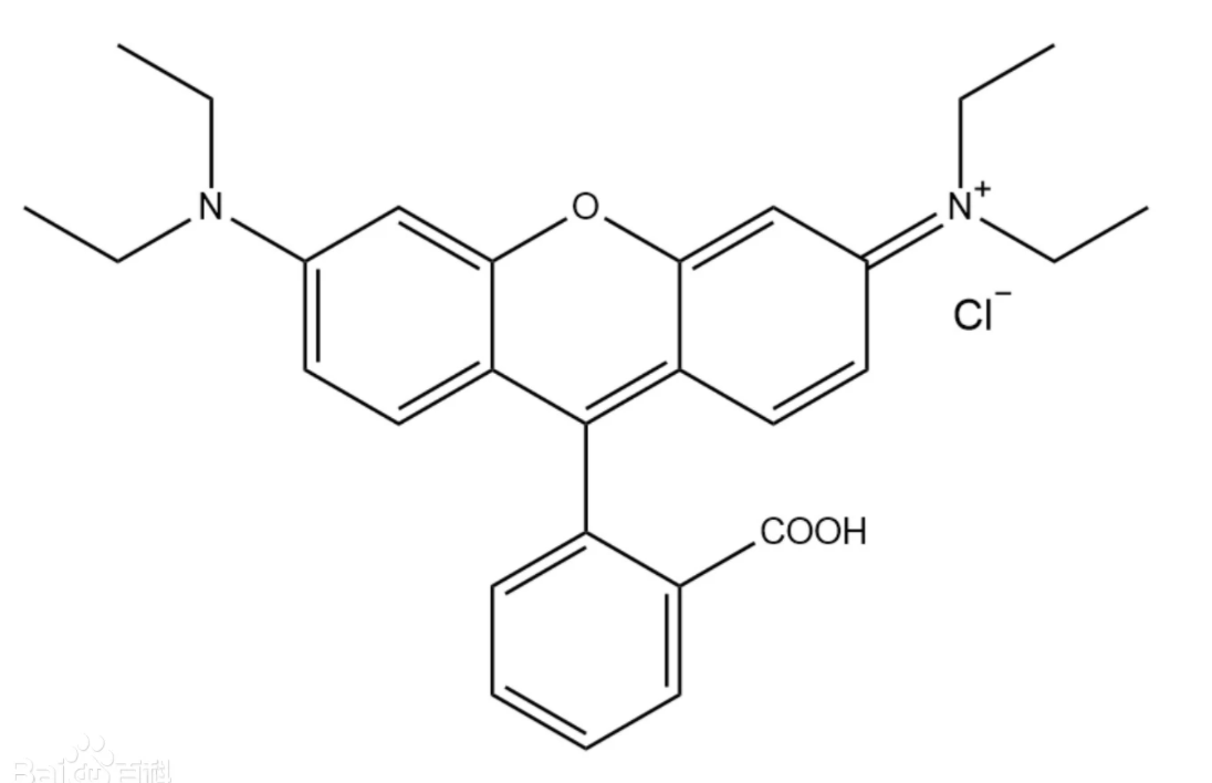 DMPE-RB 二肉豆蔻酰基磷脂酰乙醇胺改性罗丹明B