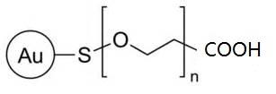 Gold Noparticles,Au-PEG-COOH 表面羧基修饰的聚乙二醇功能化纳米金粒子