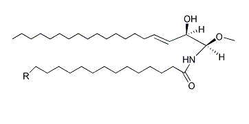 CAS:104404-17-3;锌(II)四硝基酞菁